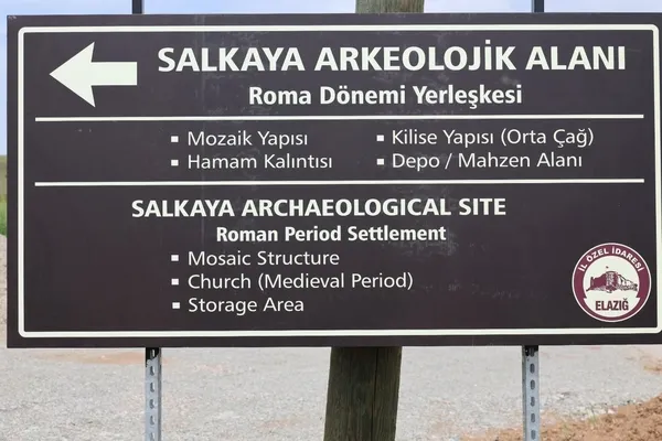 turkiyenin-en-buyuk-tek-parca-mozaigi-anadolu-leopari-figuru-elazigda-bulundu-1778766150846.jpg