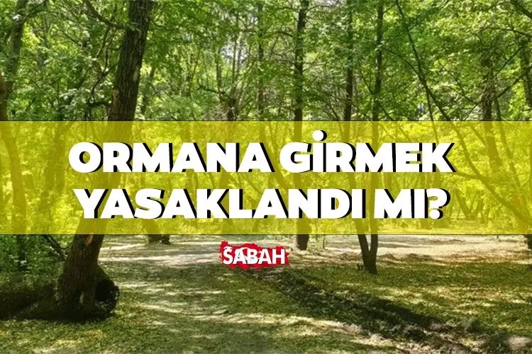 ORMANA GİRİŞ YASAĞI OLAN İLLER 2024 | Hangi illerde ormana giriş yasak, piknik ve mangal yapmak, ateş yakmak yasaklandı mı?