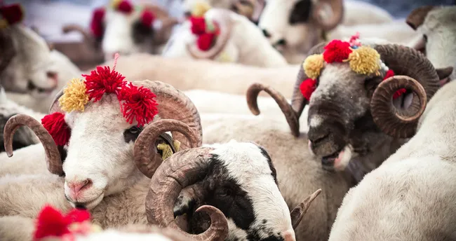 diyanet dini gunler takvimi 2020