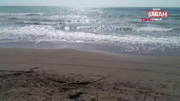 Plastik ham maddesi sahil kumlarına karıştı! Bir avuç kumda 200 tane var! | Video