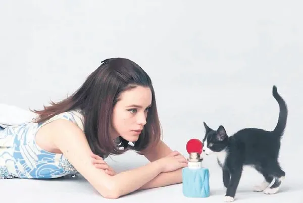 kediler-reklam-yildizi-olursa-1788016634140.jpeg