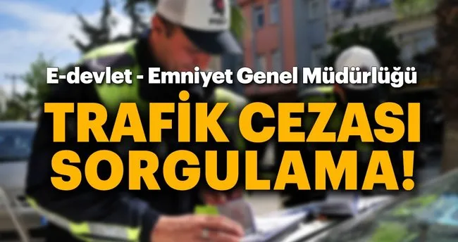 trafik cezasi sorgulama edevlet giris