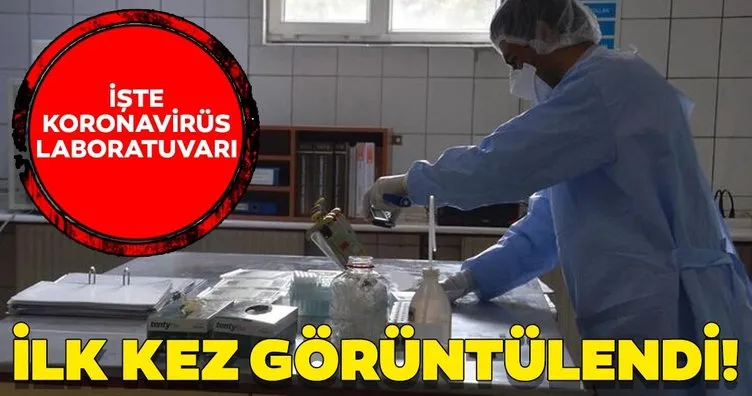 Son dakika: Coronavirüs laboratuvarları ilk kez görüntülendi! Yalnızca 3 ilde var...
