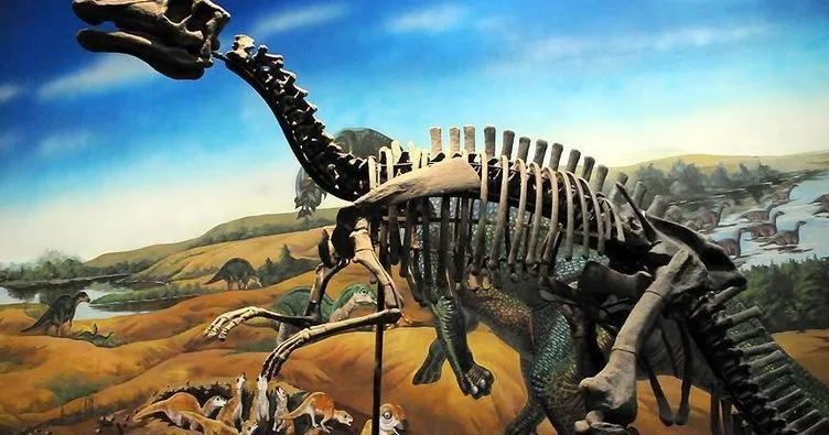 Güney Afrika’da yeni dinozor türü keşfettiler