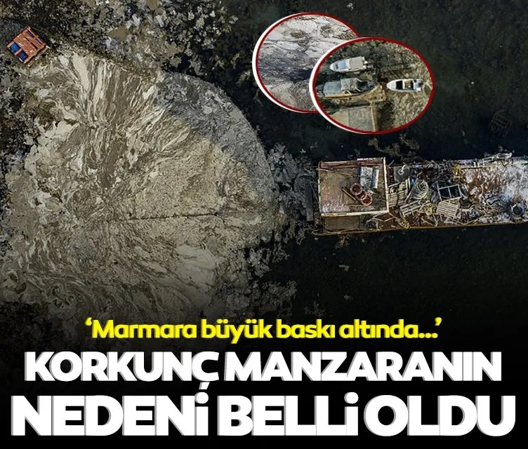İstanbul’daki korkunç manzaranın nedeni ortaya çıktı! ’Marmara büyük baskı altında...’