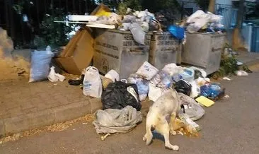 Adalar çöplerle doldu, belediye vatandaşı suçladı