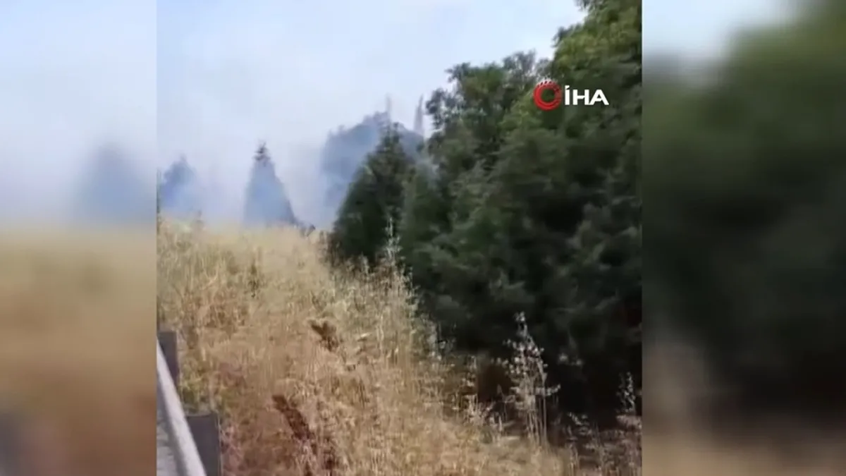 İzmir-Bursa karayolun üzerindeki alevler korkuttu
