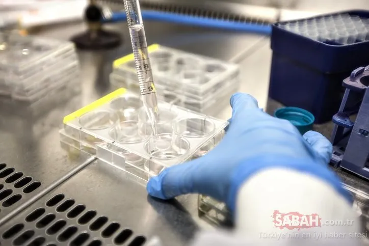 Aşı laboratuvarında tesadüfen Çiçek hastalığı virüsü etiketli şişeler bulundu
