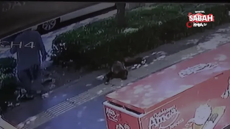 Gölgede dinlenen köpeğe taş attı | Video