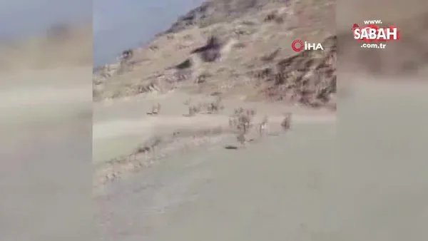 Milli Savunma Bakanlığı’ndan dağ keçileri paylaşımı | Video