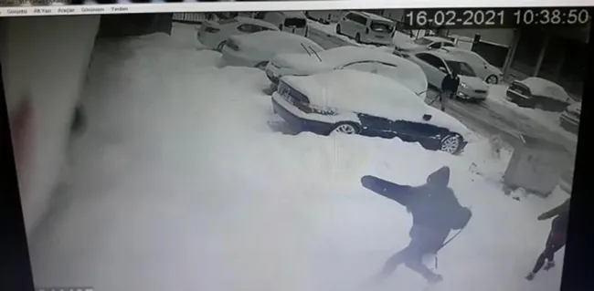 son dakika istanbul da pitbull dehseti