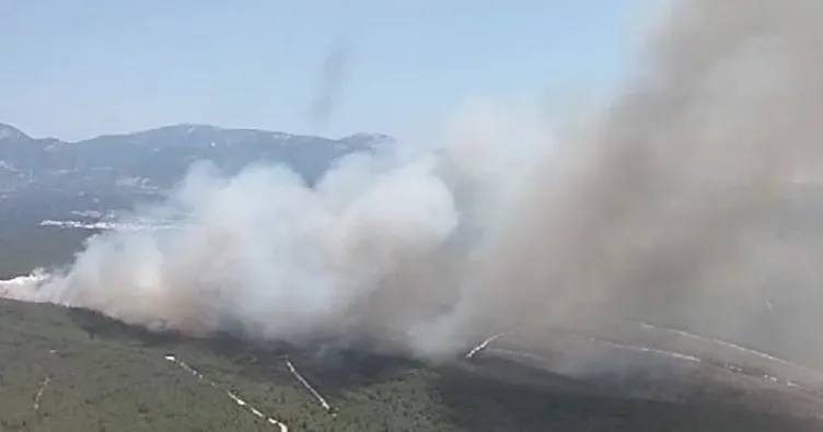 İzmir’de orman yangını! Havadan ve karadan müdahale sürüyor
