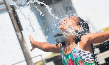 Sıcak havalara 223 kurban