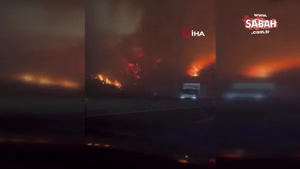 Şili’deki orman yangınlarında can kaybı 51’e yükseldi | Video