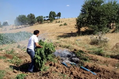 PKK'nın beli kurulduğu ovada büküldü
