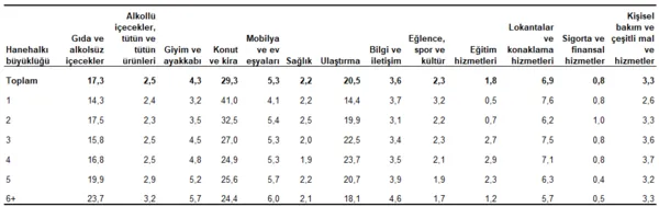 tuik-acikladi-hanehakinin-en-cok-harcama-yaptigi-kalemler-belli-oldu-1780384305250.png
