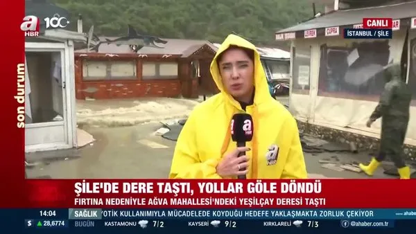 İstanbul’da şiddetli fırtına: Şile’de dere taştı! Sarıyer’de ağaçlar devrildi | Video