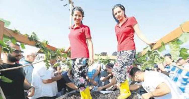 Buca’da 3. Bağ Bozumu coşkusu