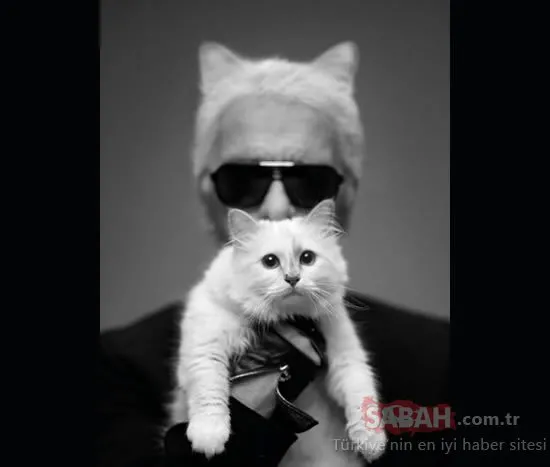 Efsane modacı Karl Lagerfeld kedisi Choupette lüks içinde yaşıyor!
