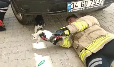 Nusaybin’de otomobil motoruna giren kediyi itfaiye ekipleri kurtardı