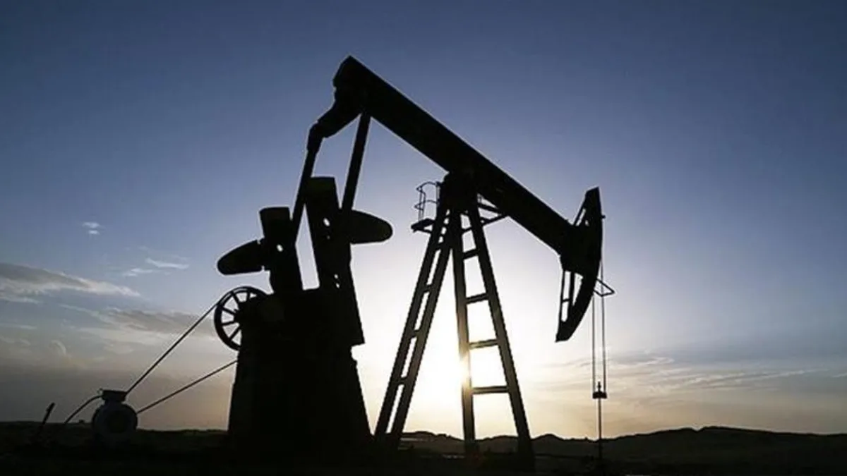 Nijerya'da operasyon düzenlenen yasa dışı petrol tesisi alanı