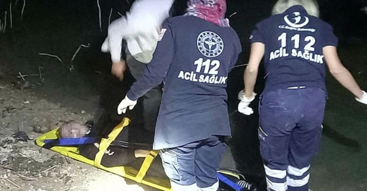 Falda Kanguru Gormek Ne Demek Kahve Falinda Kanguru Sekli Cikmasi Ne Anlama Gelir Milliyet Haber Ofisi