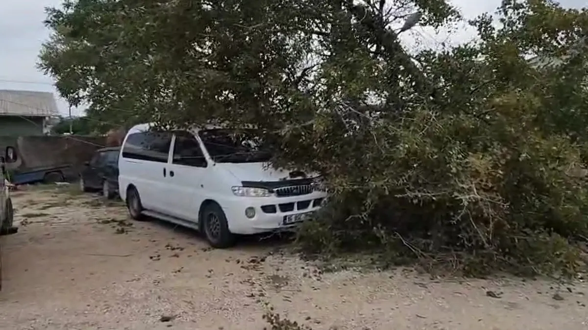 Bursa'da ağaçlar devrildi, çatılar uçtu! Dışarı çıkacaklar dikkat: Lodosun ardından… Bursa'da ağaçlar devrildi, çatılar uçtu! Dışarı çıkacaklar dikkat: Lodosun ardından…