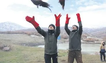 Bakan Pakdemirli tedavi edilen kuşları doğaya bıraktı