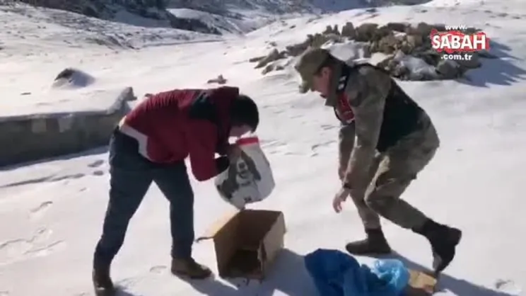 Jandarma yürekleri ısıttı | Video