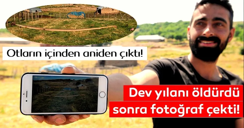 son dakika haberi dev yilani oldurdu