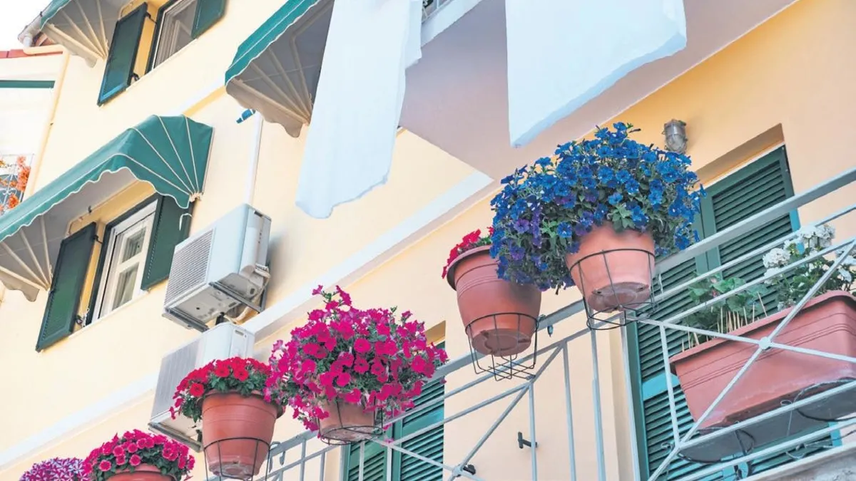 Fransa'da bir balkonda çamaşır asan bir kişi ve balkon korkuluklarına yerleştirilmiş saksılar.