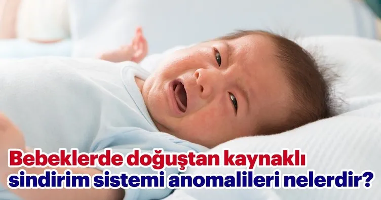 bebeklerde dogustan kaynakli sindirim sistemi anomalileri nelerdir bebek haberleri