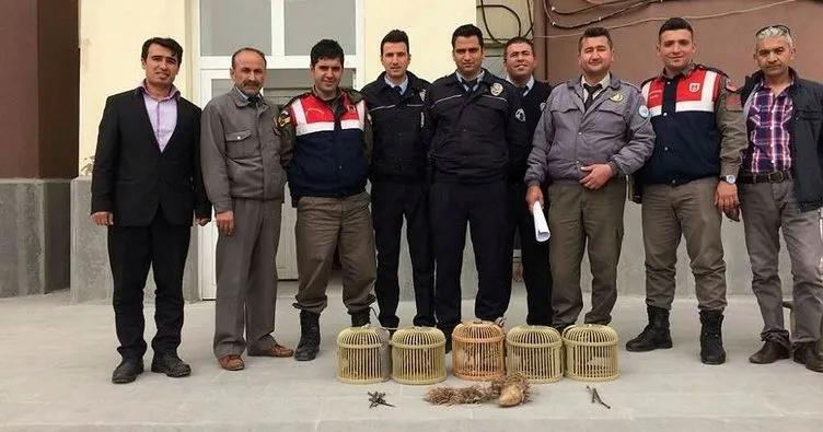 Kaçak keklik avcıları yakalandı