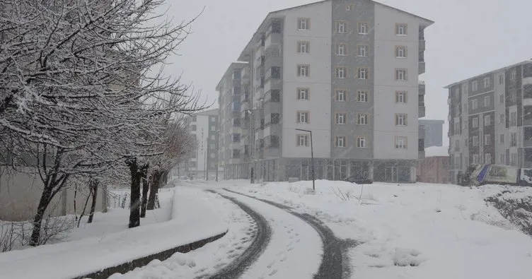 Bitlis’te 60 köy yolu ulaşıma açıldı