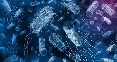 Salmonella nedir ve tedavisi var mı? Salmonella nasıl bulaşır ve belirtileri neler?