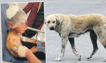 Dehşetin adresi bu kez Isparta oldu #isparta