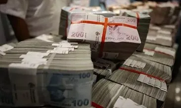 Hazine 24,8 milyar lira borçlandı