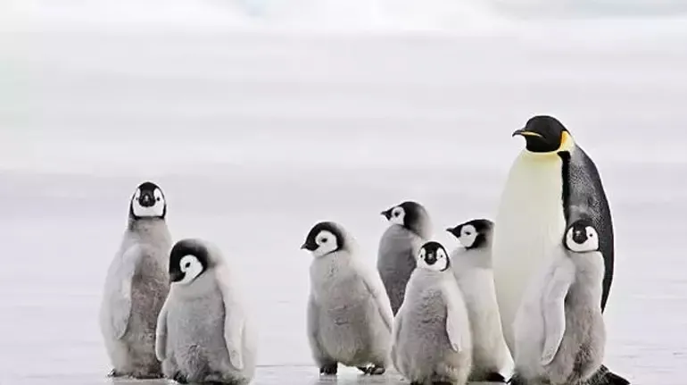 Bu meslekleri seçen yaşadı: 2026’da 250 bin TL maaş kazanabilirsiniz: İşte o 20 meslek