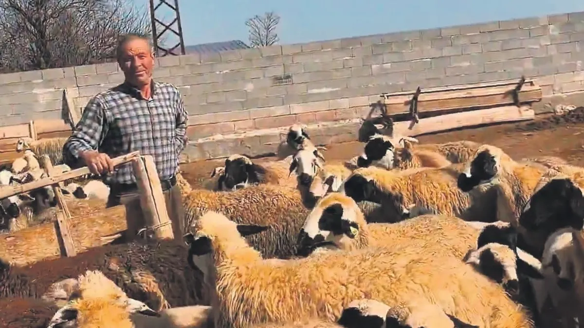 Çoban çiftin evlat gururu