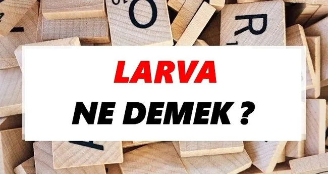 Larva Ne Demek? TDK’ya Göre Larva Sözlük Anlamı Nedir?