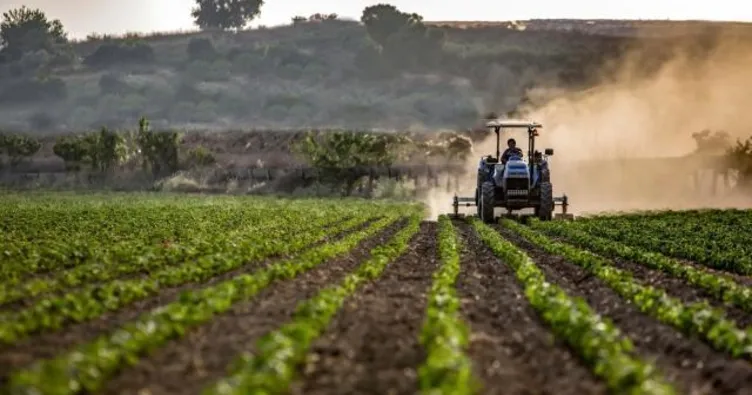Tarlada bir kilo bile ürün kalmayacak