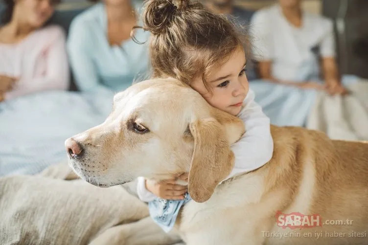 Çocuklarınızı hayvanlarla büyütmek için 7 neden