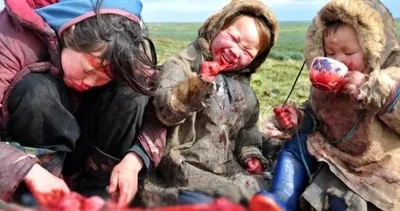 Çiğ et yiyip kan içiyorlar! Nenet kabilesinin tek bir amacı var