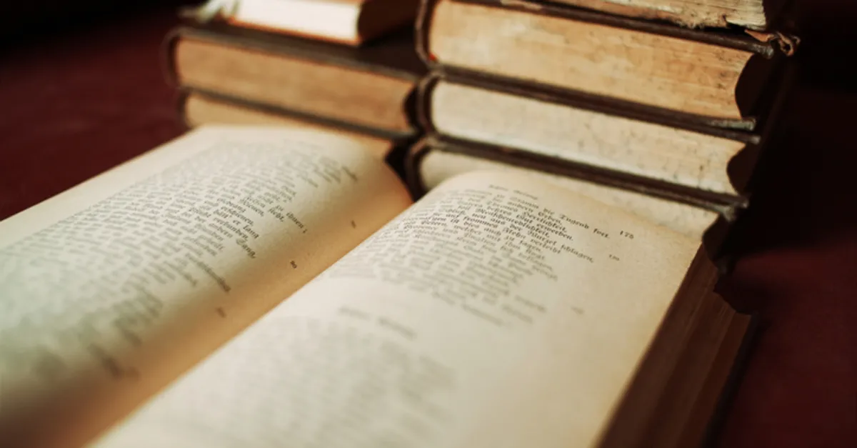 Surname Nedir? Divan Edebiyatında Surname Nedir, Hangi Örnekleri Vardır ve Ne Anlatır?