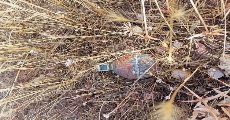 Bingöl’de patlamamış el bombası imha edildi