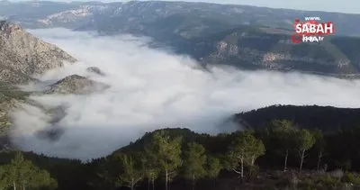 Göksu Vadisi’nde orman ile bulutlar birleşti, ortaya seyri doyumsuz görüntüler çıktı | Vidoe