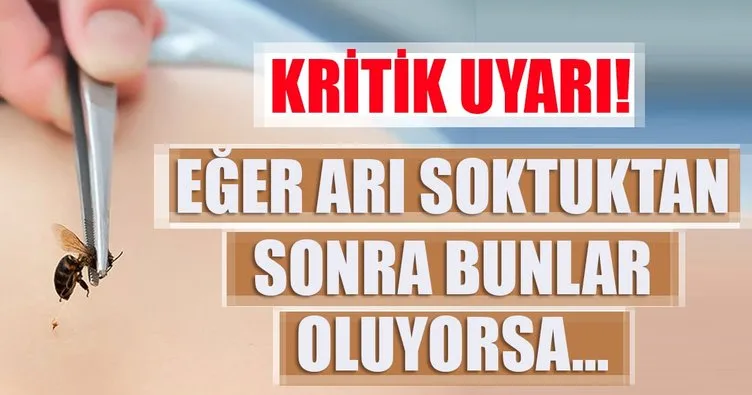 Arı sokmasına dikkat!