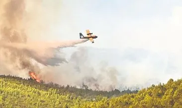 Muğla’da orman yangını!