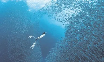 En güzel fotoğrafları ‘Keşfet’tiler