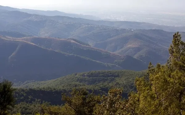 yanginlar-surerken-pkknin-gazetesi-kaz-daglarini-isaret-etti-1628265992922.jpeg Yangınlar sürerken PKK’nın gazetesi Kaz Dağlarını işaret etti!